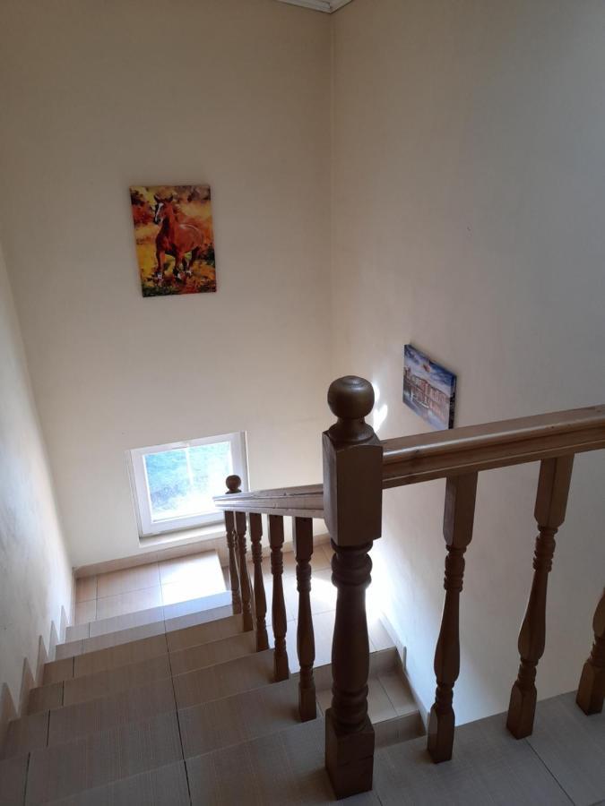 Yana Guest House 多布里尼什特 外观 照片
